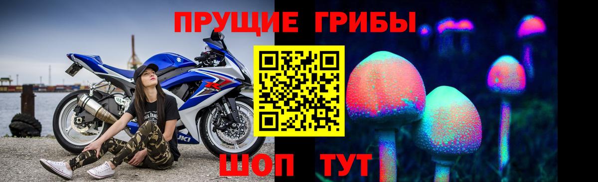 Псилоцибиновые грибы прущие грибы Острогожск